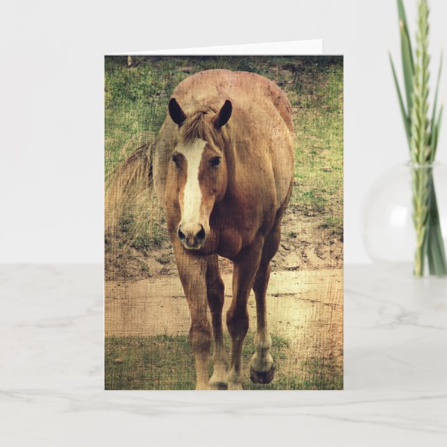 Tarjeta Dunnit (Anverso)