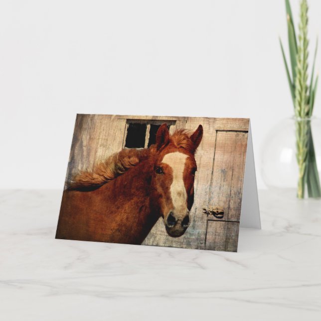 Tarjeta Dunnit, cumpleaños (Anverso)