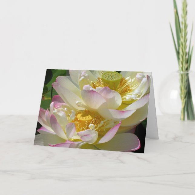 Tarjeta Dúo de Flor de Loto (Anverso)
