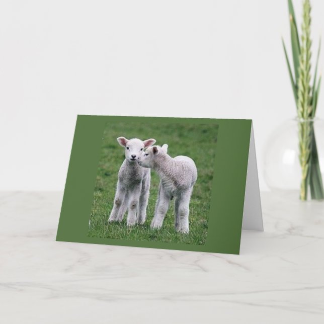 TARJETA DUPLICAR LOS DESEOS DE "TU CUMPLEAÑOS" DE LAMBS (Anverso)