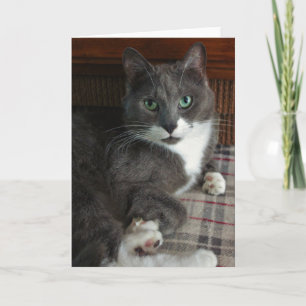Tarjeta Dusty