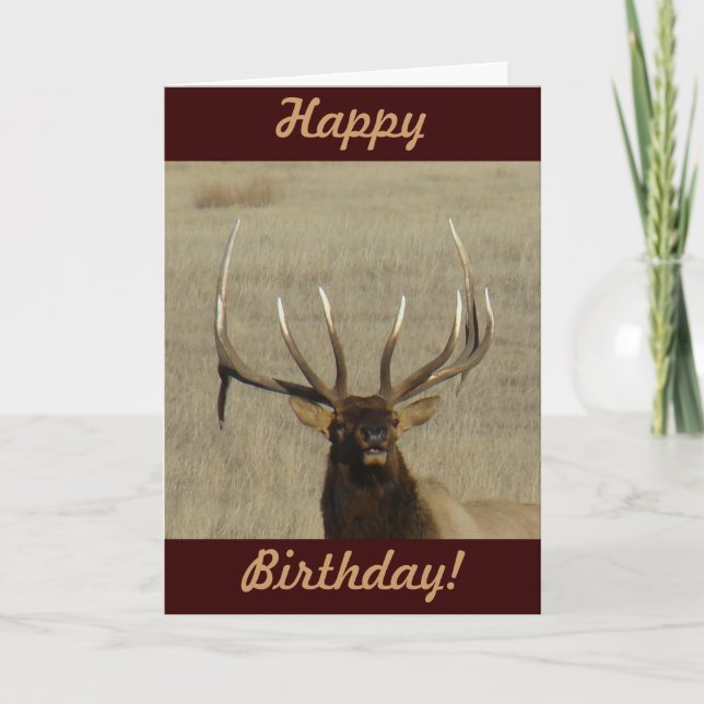 Tarjeta E29 Cabeza de toro (Anverso)