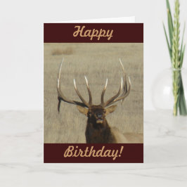 Tarjeta E29 Cabeza de toro