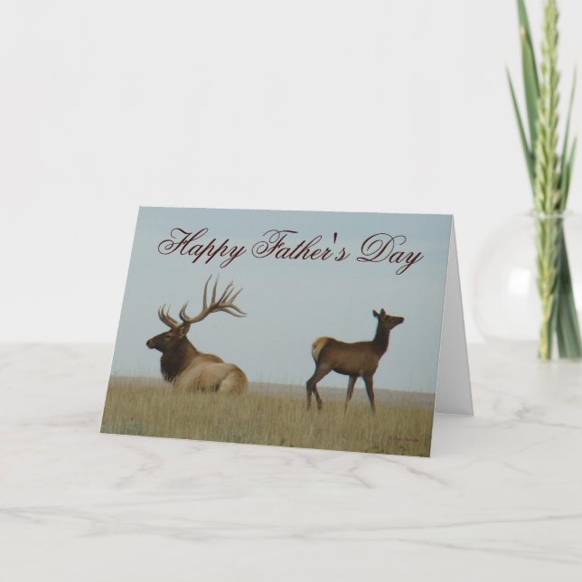 Tarjeta E5 Alce toro y anhelo (Anverso)