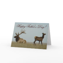 E5 Alce Toro y Cría