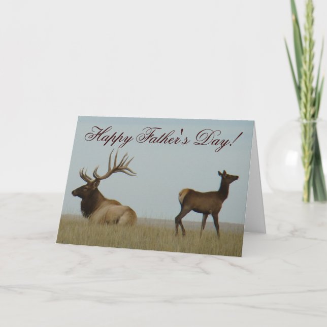 Tarjeta E5 Alce Toro y Cría (Anverso)