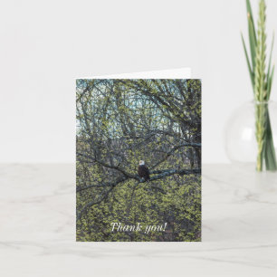 Tarjeta Eagle Awareness