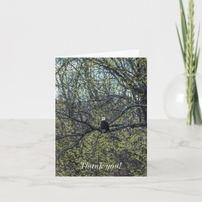 Tarjeta Eagle Awareness (Anverso)