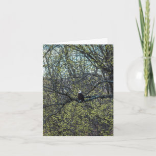 Tarjeta Eagle Awareness
