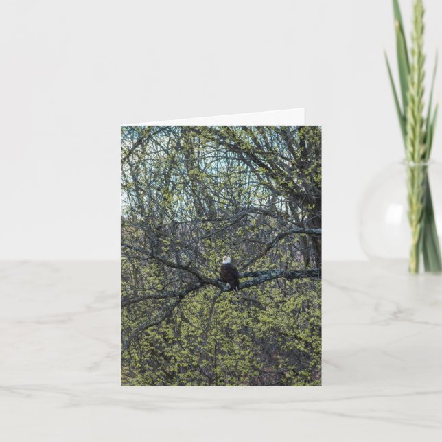 Tarjeta Eagle Awareness (Anverso)