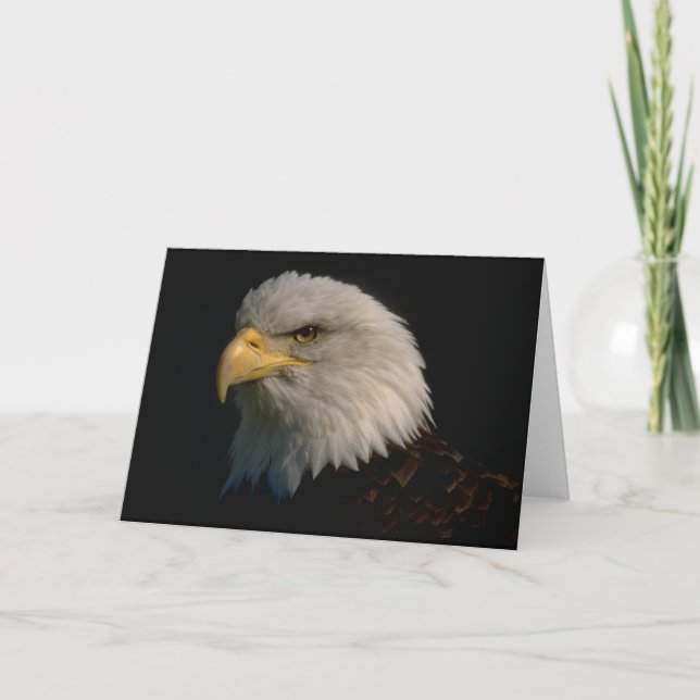 Tarjeta Eagle calvo americano (Anverso)