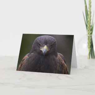 Tarjeta Eagle de oro