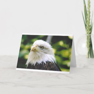 Tarjeta Eagle Eye