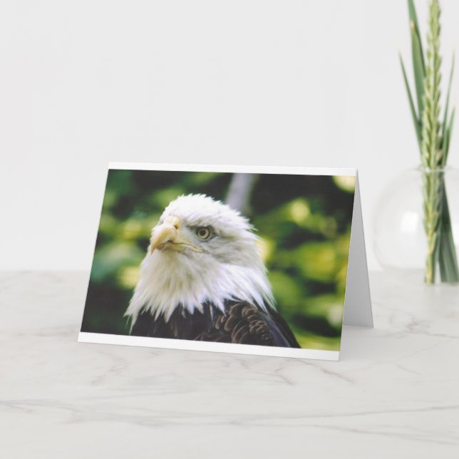 Tarjeta Eagle Eye (Anverso)