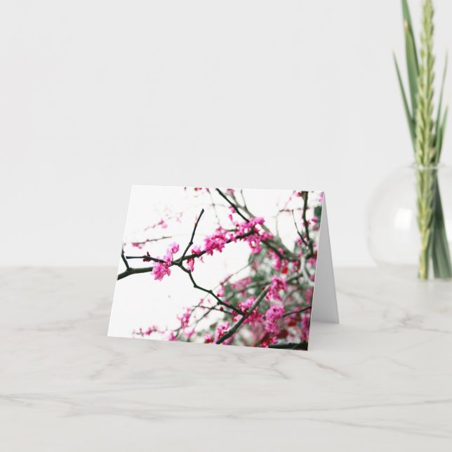 Tarjeta Eastern Redbud (Anverso)