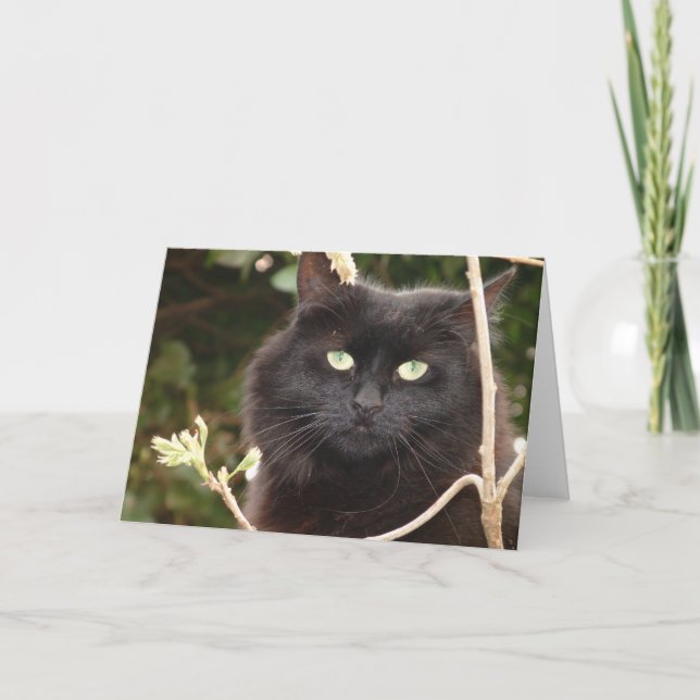 Tarjeta Ébano (Anverso)