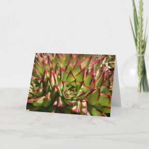 Tarjeta Echeveria notecard