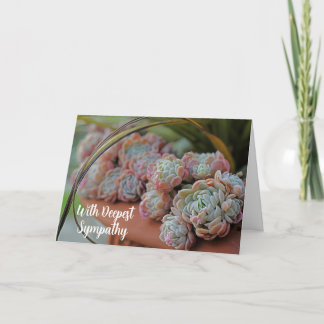 Tarjeta Echeveria Rosa Suculento Con La Más Profunda Simpa