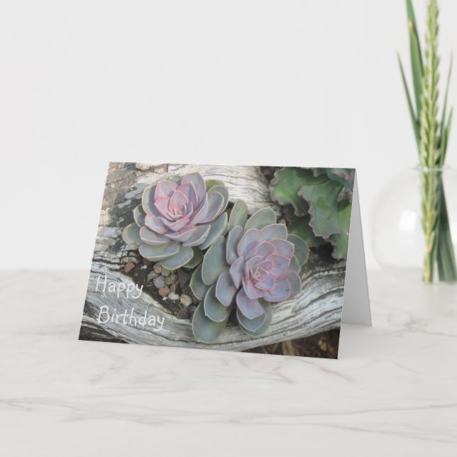 Tarjeta Echeveria Succulent Birthday Card (Anverso)