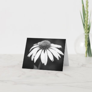 Tarjeta Echinacea en B&W (espacio en blanco)
