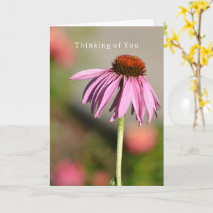 Tarjeta Echinacea Pensando en Ti (fotografía por mí)