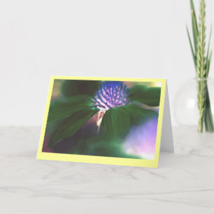 Tarjeta "Echinacea verde "