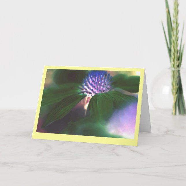 Tarjeta "Echinacea verde " (Anverso)