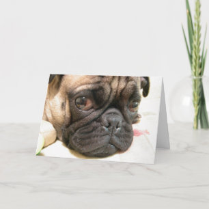 Tarjeta Edad de cumpleaños no es feliz, humor con perro