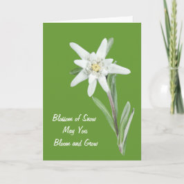Tarjeta Edelweiss