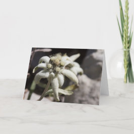 Tarjeta Edelweiss blanco