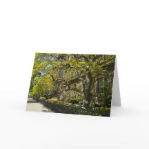 Edificio de la avenida de la Commonwealth, MAMÁES