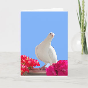Tarjeta editable Paloma Blanca