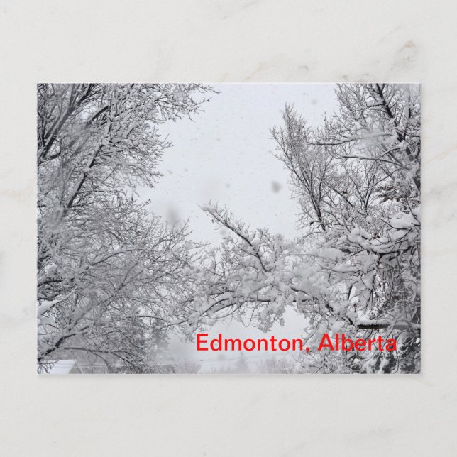 Tarjeta Edmonton, Alberta Winter Post (Anverso)