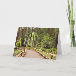 Tarjeta EE.UU., California, Condado de Marin, Muir Woods