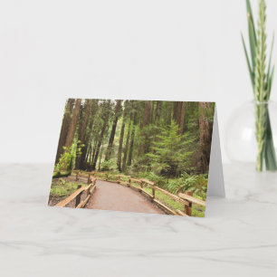 Tarjeta EE.UU., California, Condado de Marin, Muir Woods