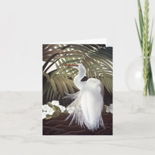 Tarjeta Egret