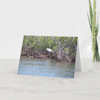 Tarjeta Egret en mangles