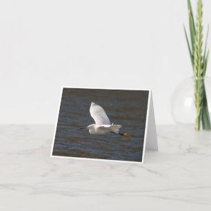 Tarjeta Egret in Flight