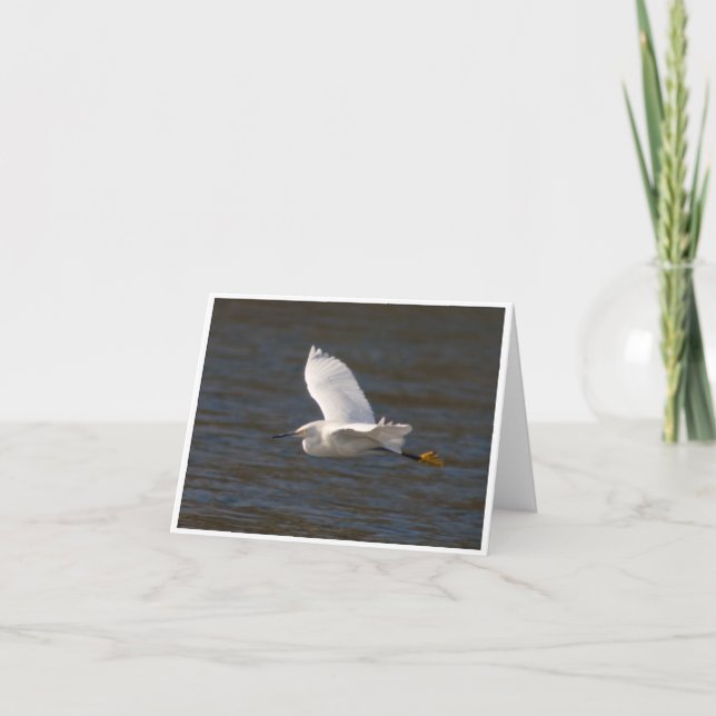 Tarjeta Egret in Flight (Anverso)
