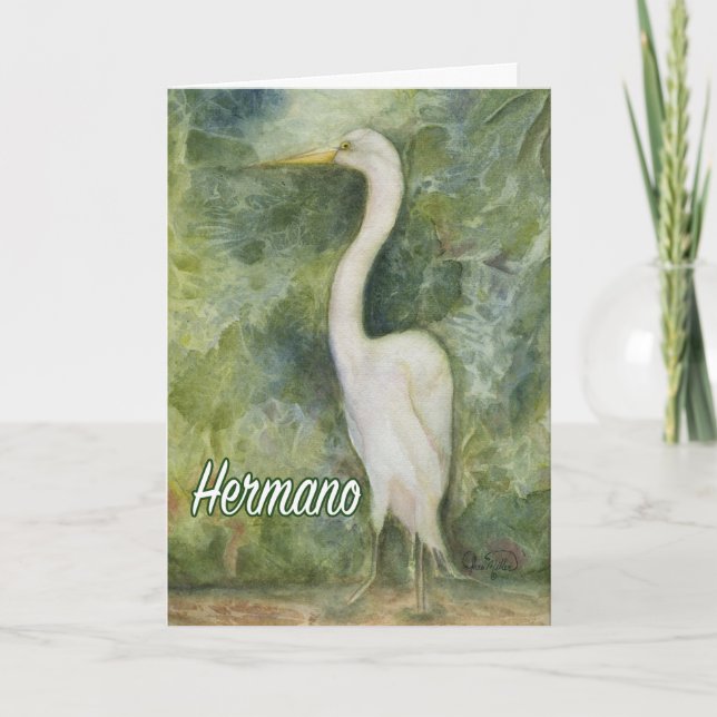 Tarjeta Egret white wilderness Hernano D-Day card Español (Anverso)