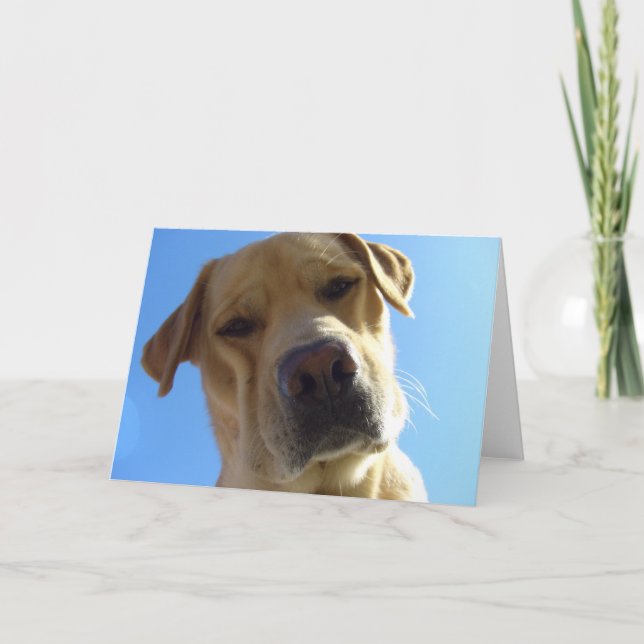 Tarjeta ¿Eh? (Anverso)