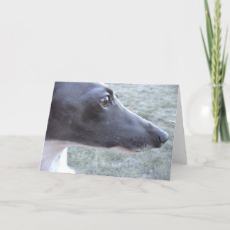 Tarjeta El acercamiento de Lizzie