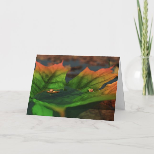 Tarjeta El Agua Es Amplia (Anverso)