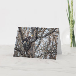 Tarjeta El águila calva en la caza