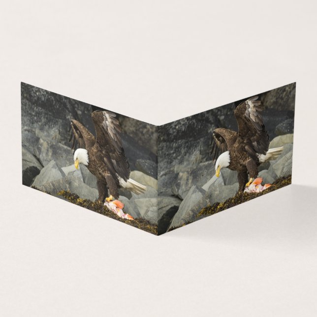 Tarjeta El águila calva suprema (Exterior)