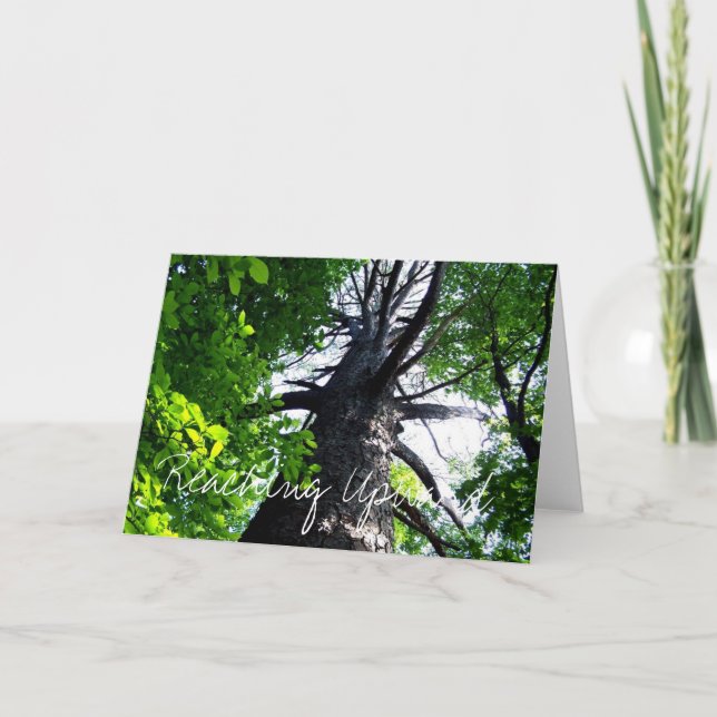 Tarjeta El alcanzar hacia arriba (Anverso)