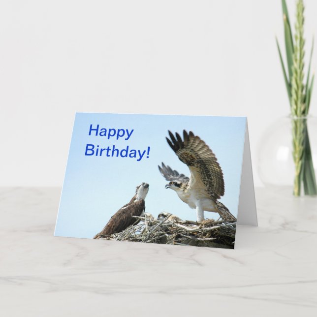 Tarjeta El aleteo del osprey del feliz cumpleaños se va (Anverso)