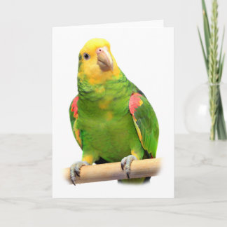 Tarjeta el Amazonas Amarillo-dirigido