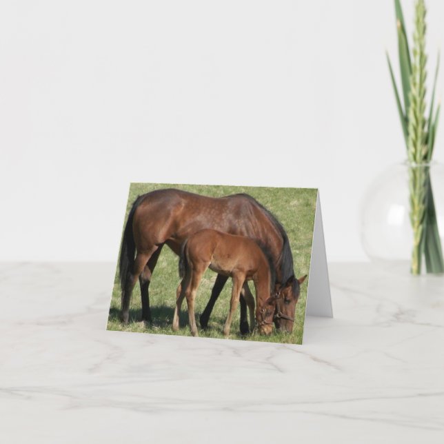 Tarjeta El amor de las madres (Anverso)