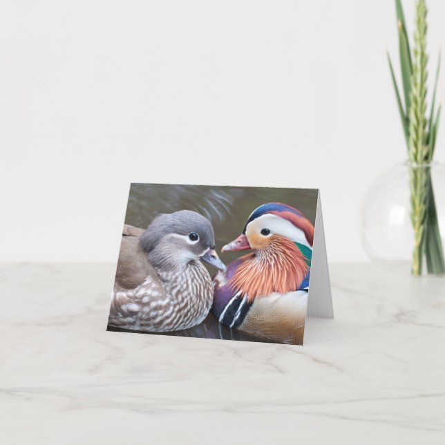 Tarjeta El "amor Ducks" Notecard (Anverso)